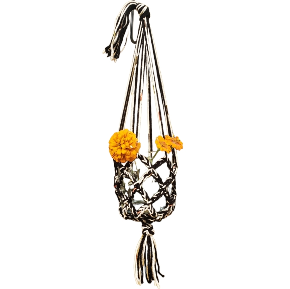 Plant Hanger